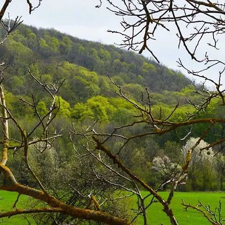 Somhegyi Oereg Harsfak Major Vendeghaz Bakonybel