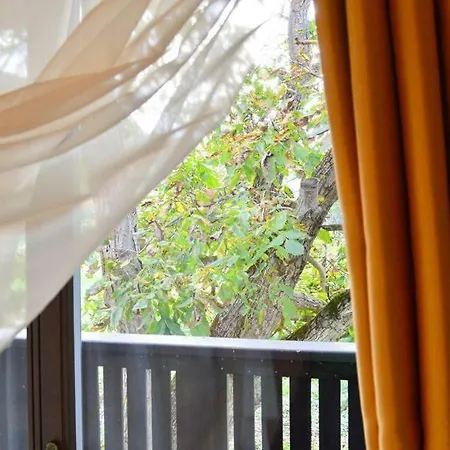Bed & Breakfast Somhegyi Oereg Harsfak Major Vendeghaz Bakonybel